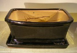 Black Ceramic Bonsai Pot- Rectangle -Professional Series with Attached Humidity/Drip Tray -10.0 x 9.0 x 4.5