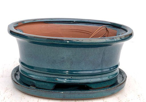 Blue / Green Ceramic Bonsai Pot - Oval -Professional Series with Attached Humidity/Drip Tray -10.75 x 8.5 x 4.125