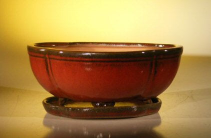 Parisian Red Ceramic Bonsai Pot - Oval / Lotus Shaped -Professional Series With Attached Humidity/Drip tray -10.75 x 8.5 x 4.125