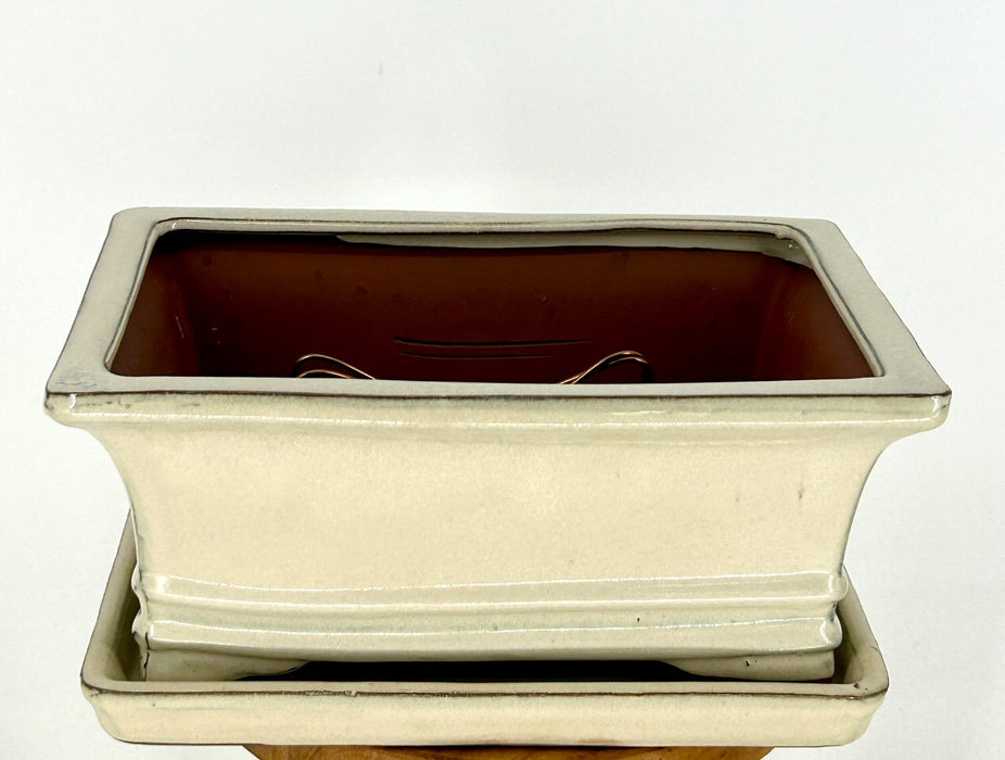 Beige Ceramic Bonsai Pot - Rectangle-Professional Series with Attached Humidity/Drip tray-10.5 x 8.25 x 4.75