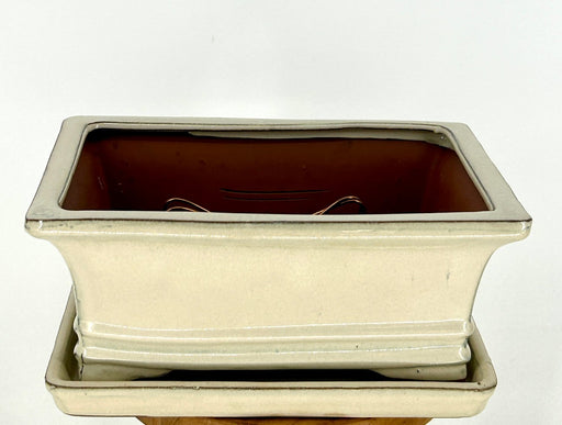 Beige Ceramic Bonsai Pot - Rectangle-Professional Series with Attached Humidity/Drip tray-10.5 x 8.25 x 4.75