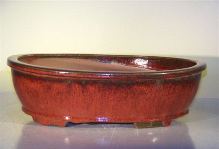 Parisian Red Ceramic Bonsai Pot - Oval-14.0 x 11.0 x 4.0