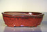 Parisian Red Ceramic Bonsai Pot - Oval-14.0 x 11.0 x 4.0