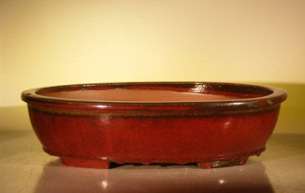Parisian Red Ceramic Bonsai Pot - Oval-16.0 x 12.5 x 4.0