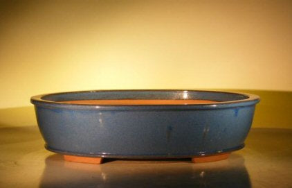 Blue Ceramic Bonsai Pot - Oval -20 x 16 x 5 OD-18 x 14 x 4.25 ID