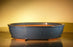 Blue Ceramic Bonsai Pot - Oval -20 x 16 x 5 OD-18 x 14 x 4.25 ID