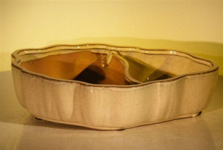 Beige Ceramic Bonsai Pot - Oval with Scalloped Edges - Land/Water Divider - 8.75 x 6.0 x 3.0?