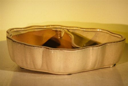 Beige Ceramic Bonsai Pot - Oval with Scalloped Edges - Land/Water Divider - 9.5 x 7.5 x 2.25
