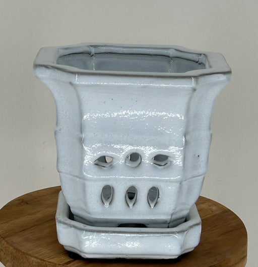 Black Ceramic Orchid Pot - Round -With Attached Humidity Drip Tray-6 x 6 x 4.5 tall