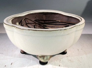 Beige Ceramic Bonsai Pot - Lotus Shaped -Professional Series -6 x 4 x 2