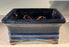 Marble Blue Ceramic Bonsai Pot - Rectangle -Professional Series -6 x 4 x 2