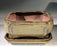 Olive Green Ceramic Bonsai Pot - Rectangle-With Humidity Drip Tray-6 x 4.5 x 3