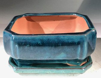 Blue / Green Ceramic Bonsai Pot - Rectangle -With Humidity Drip Tray-6 x 4.5 x 3