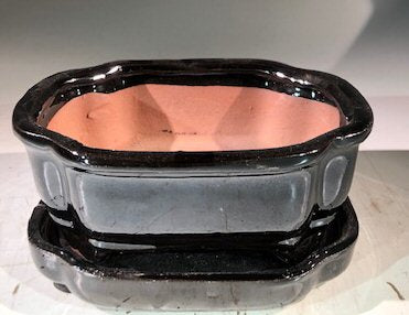 Black Ceramic Bonsai Pot -Rectangle-With Humidity Drip Tray-6 x 4.5 x 2.5