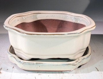 Beige Ceramic Bonsai Pot -Rectangle-With Humidity Drip Tray-7 x 5.5 x 3