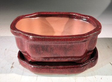 Parisian Red  Ceramic Bonsai Pot -Rectangle-With Humidity Drip Tray-6 x 4.5 x 2.5