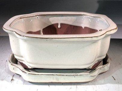Beige Ceramic Bonsai Pot - Rectangle-With Humidity Drip Tray-8 x 6 x 3