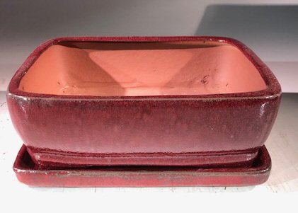 Parisian Red  Ceramic Bonsai Pot - Rectangle-With Humidity Drip Tray-8 x 6 x 3