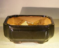 Black Ceramic Bonsai Pot-Rectangle with Indented Corners-Professional Series-8.25 x 6.75 x 3.5