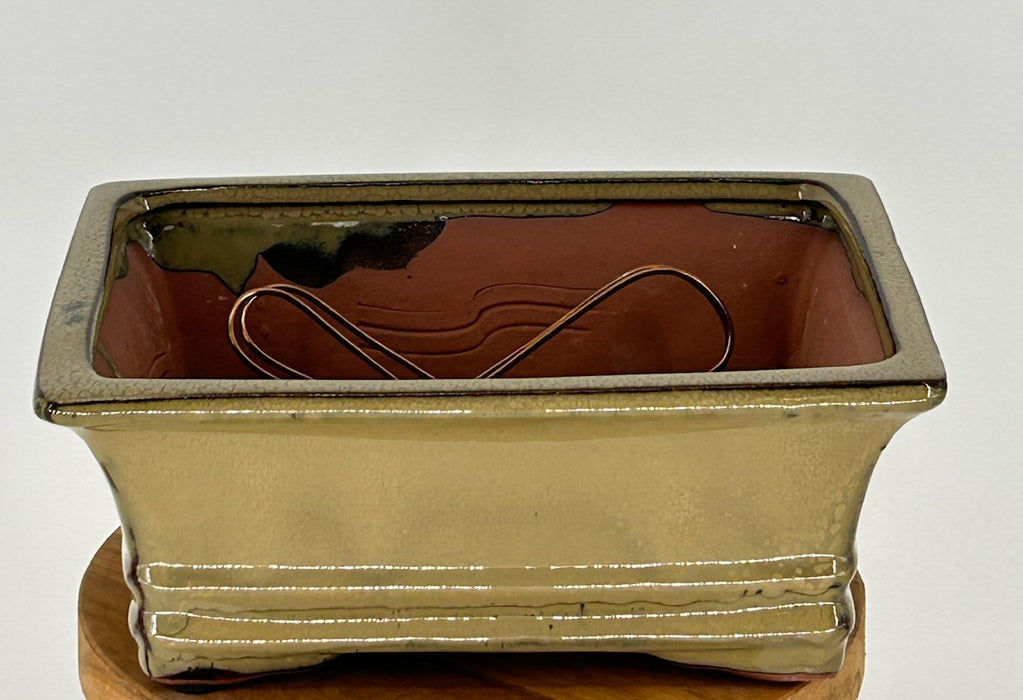 Olive Green Ceramic Bonsai Pot - Rectangle -Professional Series -8.25 x 6.25 x 3.25