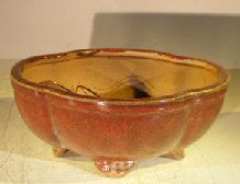 Parisian Red Ceramic Bonsai Pot  - Oval Lotus Shaped -Professional Series- 8.5 x 7.0 x 3.5