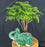 Norfolk Island Pine Bonsai Tree- Potted in Artisan Elephant Pot-(Araucaria Heterophila)