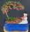 Cotoneaster Bonsai Tree -Holiday Landscape Scene-(dammeri 'streibs findling')