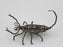 Wire Scorpion Figurine