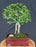 Flowering Parrot's Beak Bonsai Tree - Exposed Roots - (gmelina philippensis)