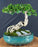 Semi Cascading Flowering Premna Bonsai Tree - (premna obtusifolia)
