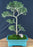 Trained Flowering Mount Fuji Serissa Bonsai Tree - (serissa foetida)
