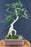 Lime Prickly Ash Bonsai Tree - (Zanthoxylum fagara)