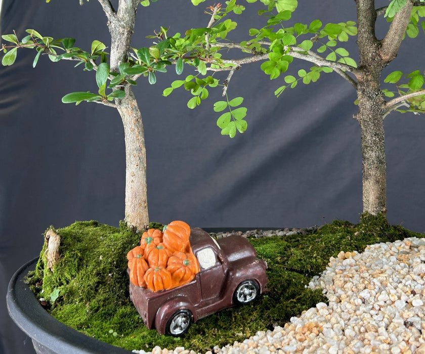 Flowering Three Tree Bonsai Forest Group