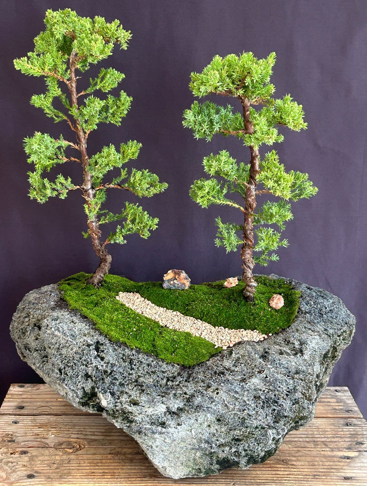 Juniper Bonsai Tree-Two Tree Forest Group in Feather Stone Base-(juniper procumbens nana)