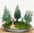 European Cypress Evergreen Bonsai Tree-Holiday Themed Three Tree Forest Group -(chamaecypari Iawsoniana 'ellwoodii')