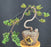Juniper Bonsai Tree - Trained -(juniper procumbens nana)