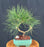 Trained Japanese Black Pine Bonsai Tree-(pinus thunbergii 'thunderhead')