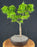 Mikawa Yatsubusa Japanese Maple Bonsai Tree-(acer palmatum 'Mikawa Yatsubusa')