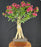 Flowering Bougainvillea Bonsai Tree-Exposed Roots-(Pink Pixie)