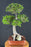 Trained Chinese Elm Bonsai Tree-Root Over Rock Style-(ulmus parvifolia)