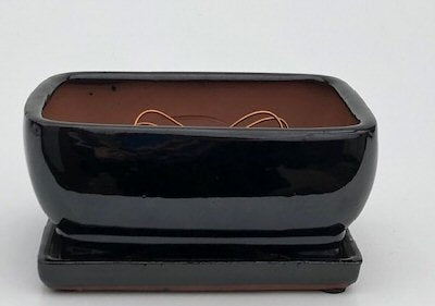Black Ceramic Bonsai Pot- Rectangle -Professional Series With Attached Humidity/Drip Tray -8.25 x 6.0 x 4.0