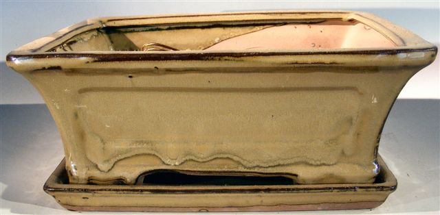 Olive Green Ceramic Bonsai Pot - Rectangle -Professional Series with Attached Humidity/Drip Tray -10.25 x 8.0 x 4.125 OD-9.0 x 7.0 x 3.25 ID