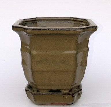 Olive Green Ceramic Bonsai Pot - Square -With Attached Humidity / Drip Tray-5.5 x 5.5 x 5.5
