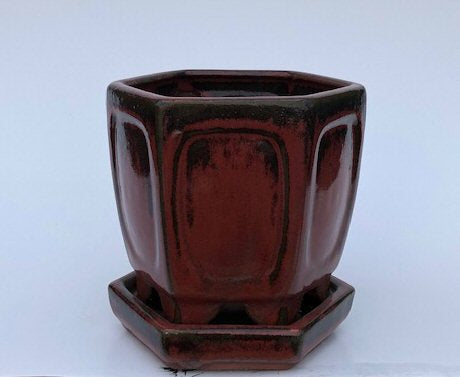 Parisian Red Ceramic Bonsai Pot - Hexagon-With Attached Humidity Drip Tray-5.5 x 5.5 x 5.5
