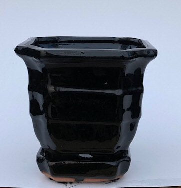 Black Ceramic Bonsai Pot - Square -With Attached Humidity / Drip Tray-5.5 x 5.5 x 5.5