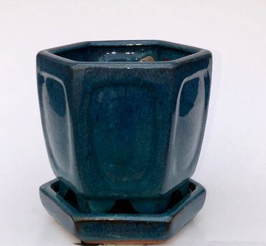 Blue / Green Ceramic Bonsai Pot - Hexagon-With Attached Humidity Drip Tray-5.5 x 5.5 x 5.5