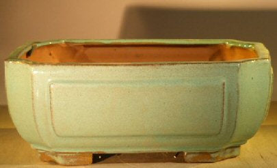 Light Green Ceramic Bonsai Pot - Rectangle -Professional Series -10 x 8 x 4