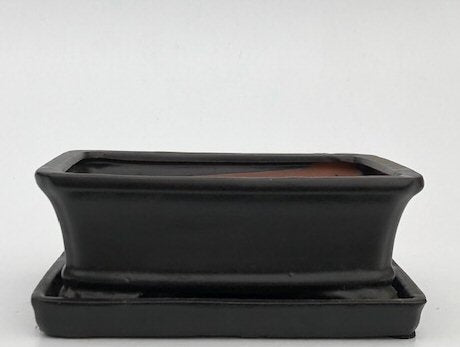 Black Ceramic Bonsai Pot - Rectangle-With Humidity Drip Tray-8.5 x 6.5 x 3