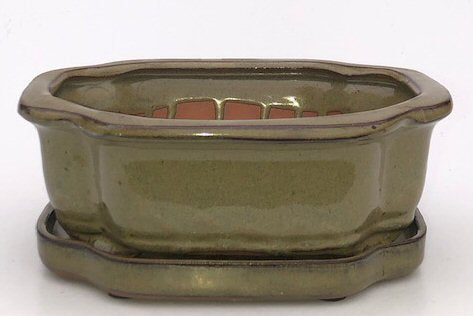 Olive Green Ceramic Bonsai Pot - Rectangle-With Humidity Drip Tray-8.5 x 6.5 x 3