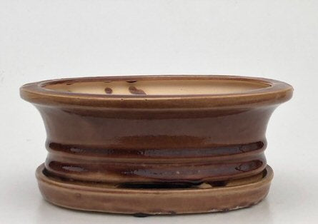 Bronze Ceramic Bonsai Pot - Oval-With Humidity Drip Tray-8.5 x 7 x 3